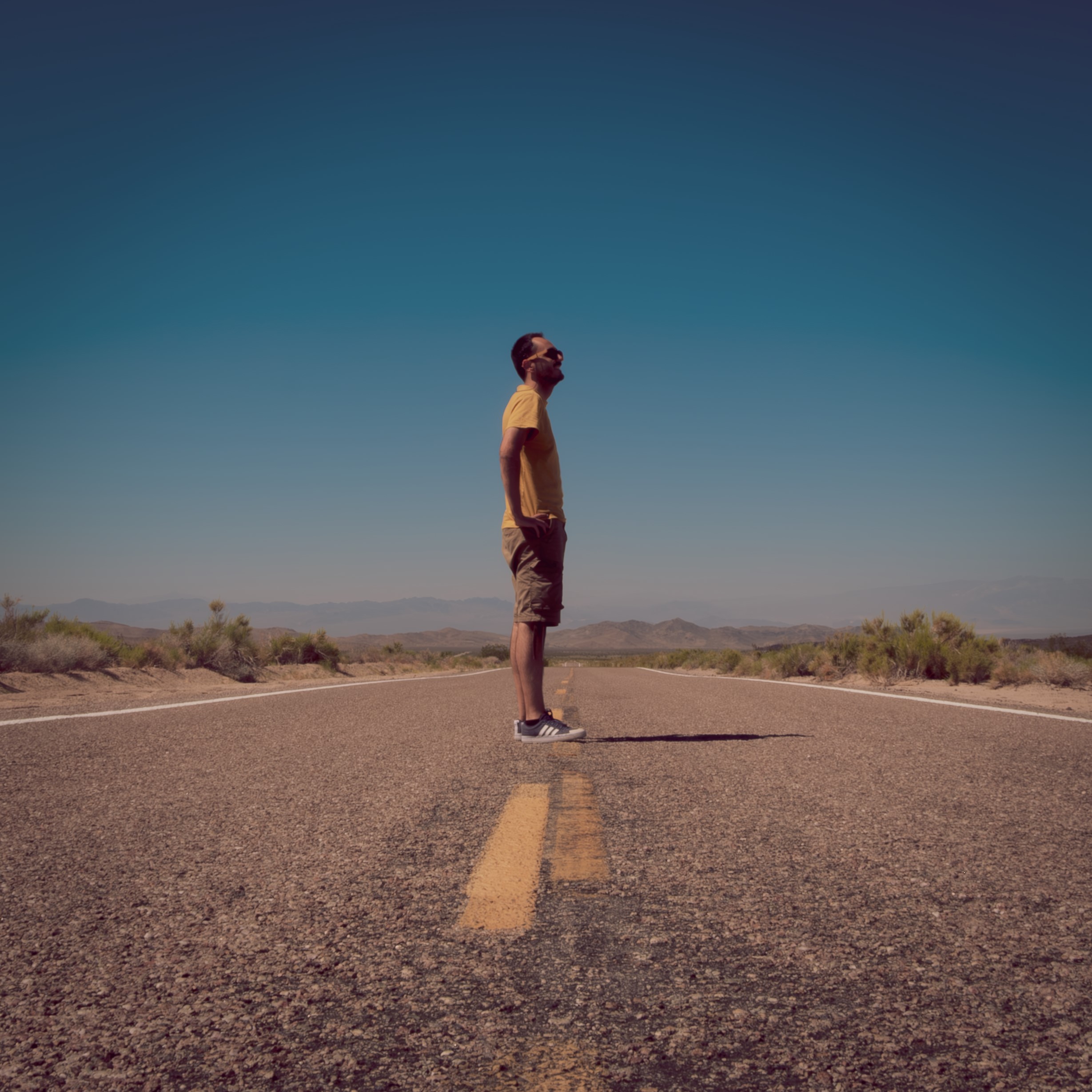 Latest publications.