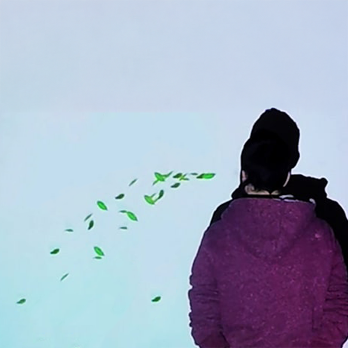 Interactive Art Installation